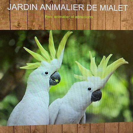 Mialet  La Magnanerie 아파트 외부 사진